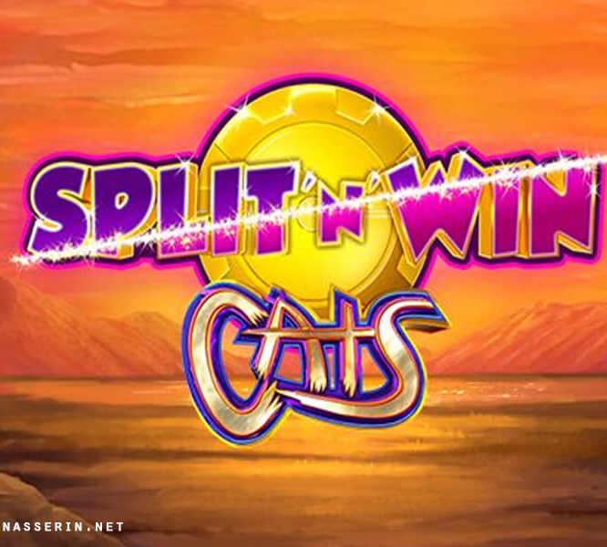 Cats Split ‘n' Win