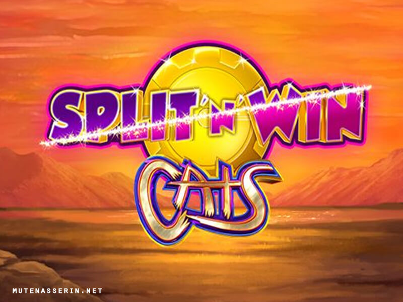 Cats Split ‘n' Win
