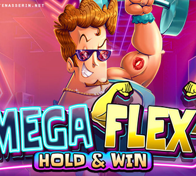 Mega Flex Hold & Win